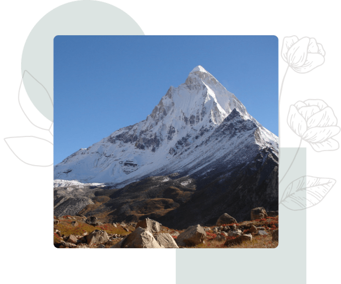 200 Hour and 600 Hour 
                                            Certification Path