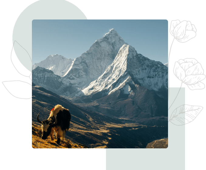 Continuing Education & CEU’s