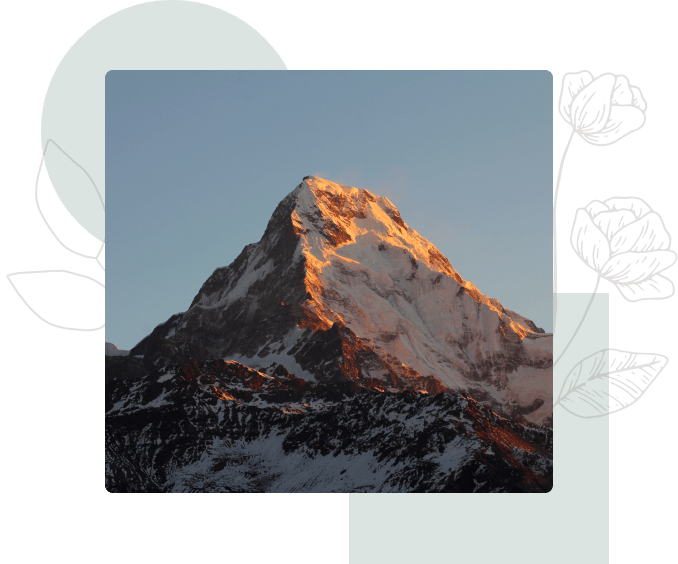 Program Features And Curriculum 
                                            Highlights 
                                            